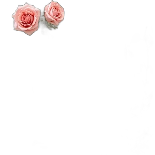 flower, jewelry, crown, shoes transparent PNG cut-out