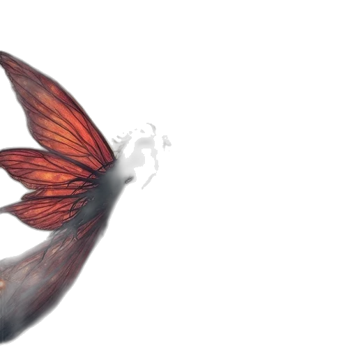dragon, flower, bottle, hair transparent PNG cut-out