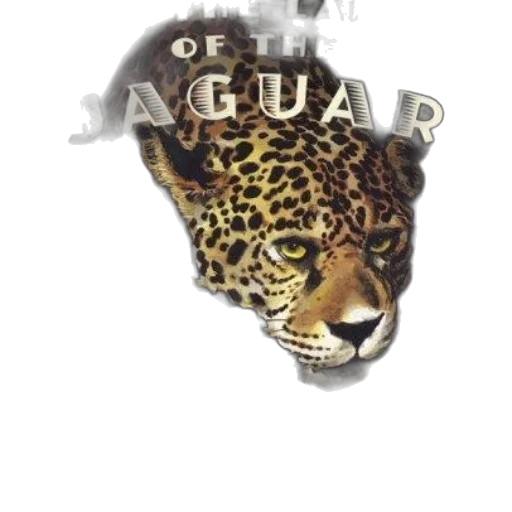 animal, jewelry, crown, creature transparent PNG cut-out