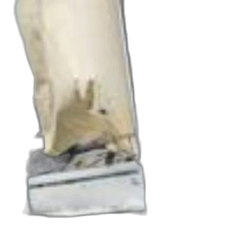bottle, shoes, weapon, crown transparent PNG cut-out