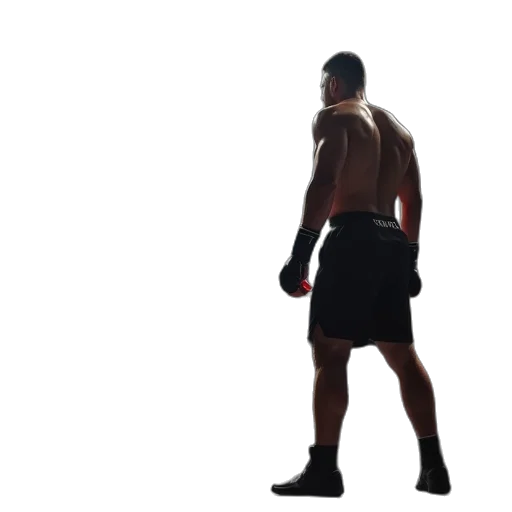 jacket, weapon, staff, creature transparent PNG cut-out