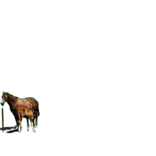 animal, creature, weapon, staff transparent PNG cut-out