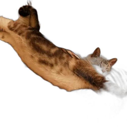staff, animal, creature, photorealistic transparent PNG cut-out