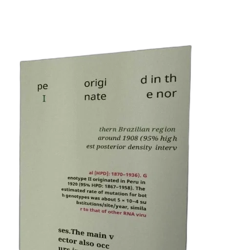 hair, document, text, about transparent PNG cut-out