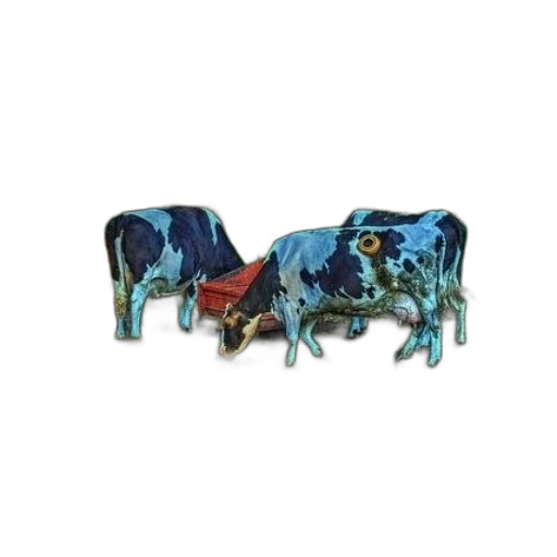 jewelry, furniture, animal, three transparent PNG cut-out