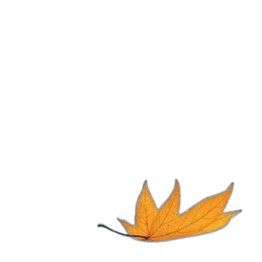 crown, hat, flower, tree transparent PNG cut-out