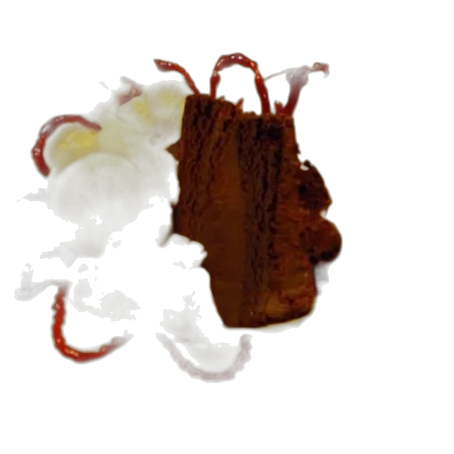 food, crown, dragon, hair transparent PNG cut-out