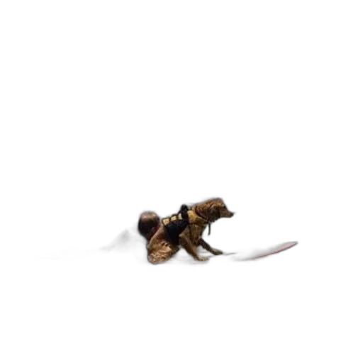 animal, creature, staff, dragon transparent PNG cut-out