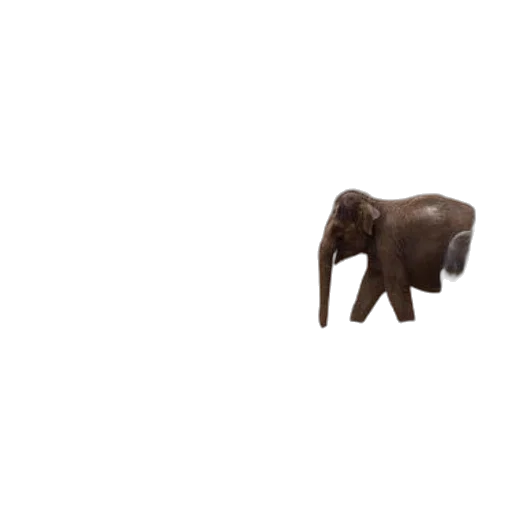 animal, creature, furniture, staff transparent PNG cut-out