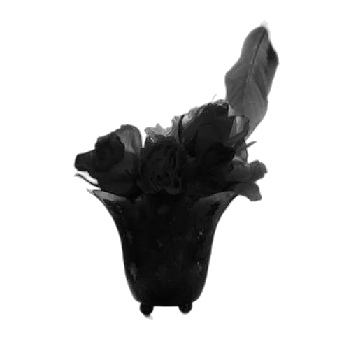 flower, crown, mask, hat transparent PNG cut-out