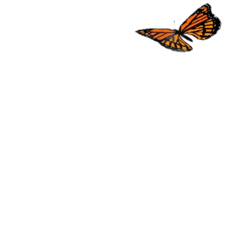 animal, creature, staff, flower transparent PNG cut-out