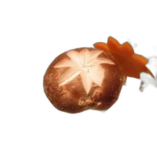 flower, crown, jewelry, food transparent PNG cut-out