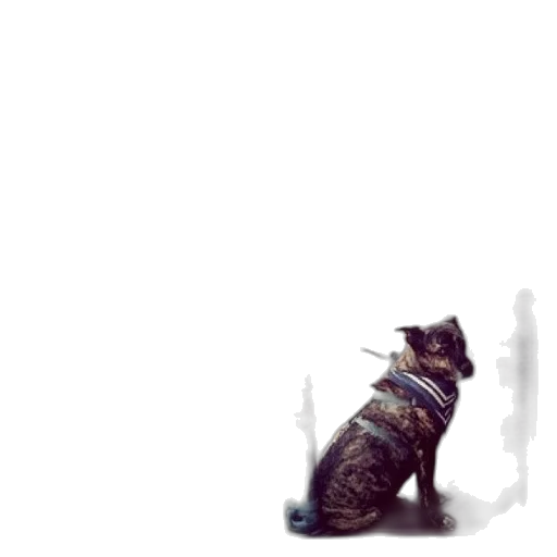 animal, staff, creature, weapon transparent PNG cut-out