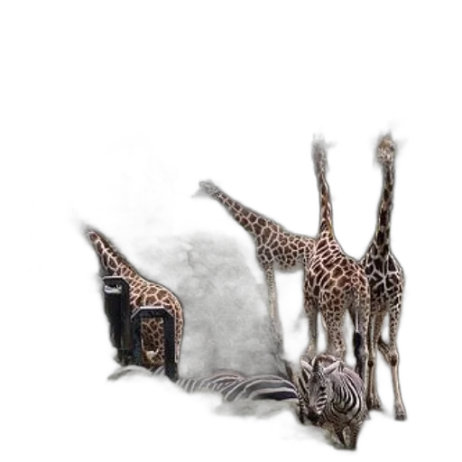 animal, creature, furniture, jewelry transparent PNG cut-out