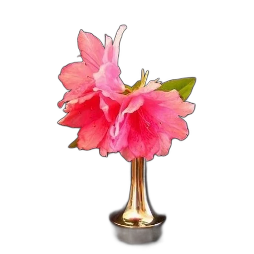 flower, crown, jewelry, staff transparent PNG cut-out