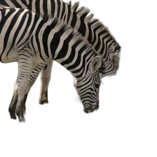 animal, creature, 3d render, concept art transparent PNG cut-out