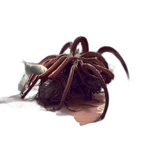 mask, hair, creature, shoes transparent PNG cut-out