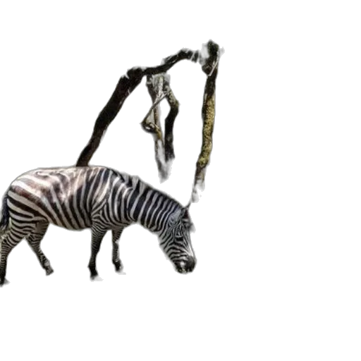 animal, creature, weapon, staff transparent PNG cut-out