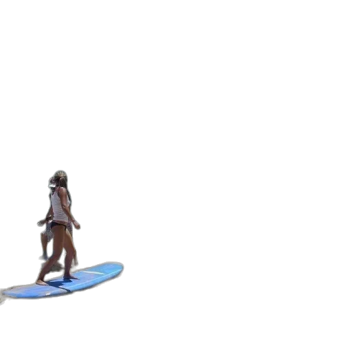 sword, weapon, staff, creature transparent PNG cut-out