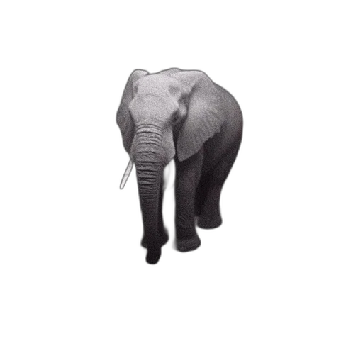 animal, creature, weapon, hat transparent PNG cut-out