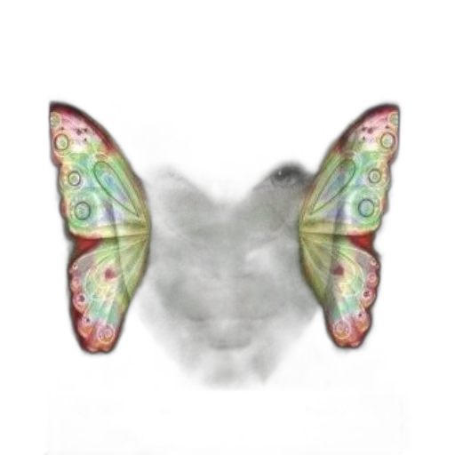mask, animal, face, jewelry transparent PNG cut-out