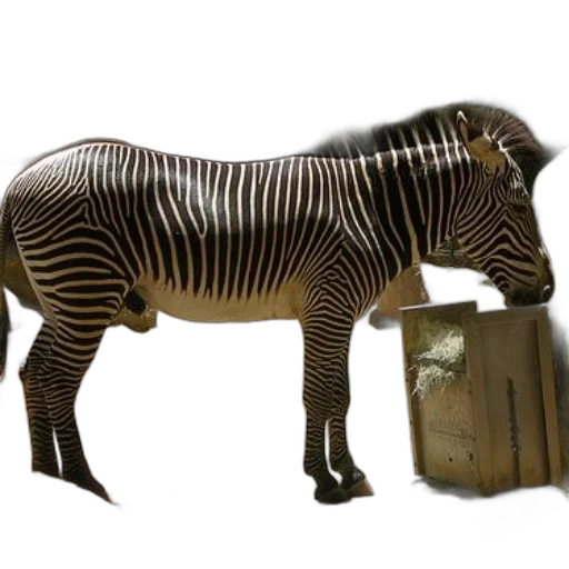 animal, furniture, creature, 3d render transparent PNG cut-out