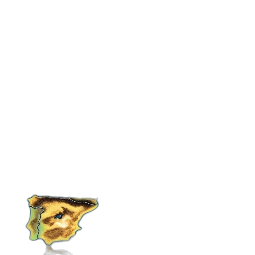 dragon, staff, hat, weapon transparent PNG cut-out