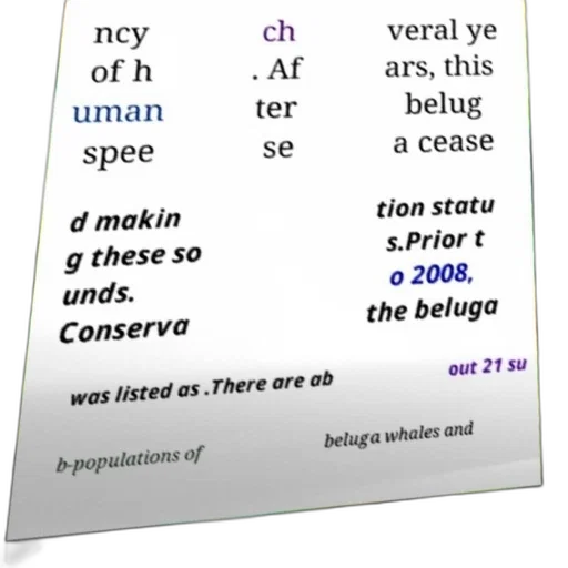 poster, text, about, beluga transparent PNG cut-out