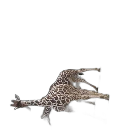 animal, dragon, creature, staff transparent PNG cut-out