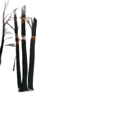 furniture, staff, tree, weapon transparent PNG cut-out