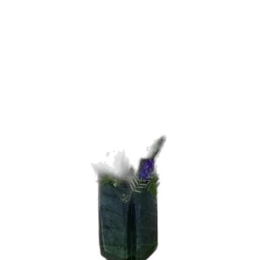 bottle, staff, weapon, flower transparent PNG cut-out