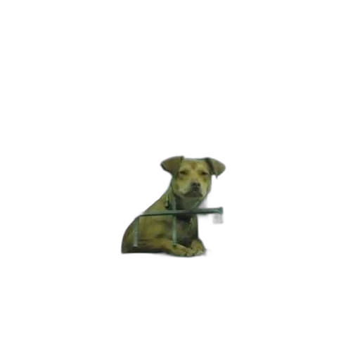 staff, animal, weapon, creature transparent PNG cut-out