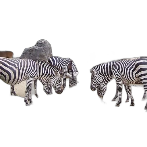animal, jewelry, 3d render, concept art transparent PNG cut-out