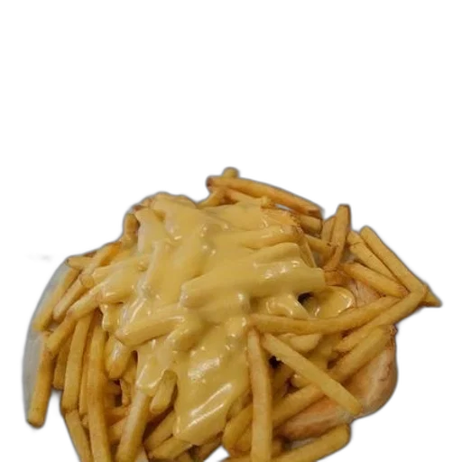 food, crown, hat, animal transparent PNG cut-out