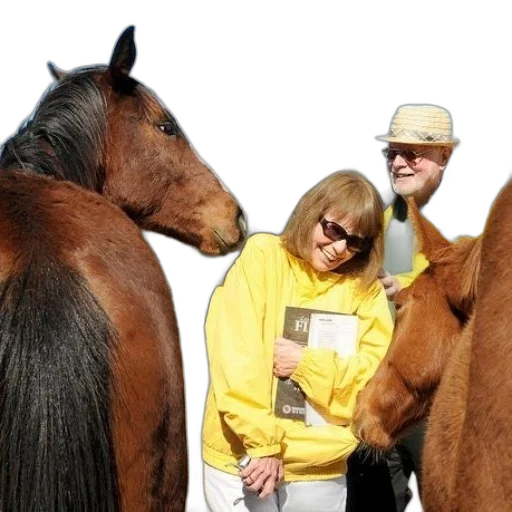 animal, staff, woman, yellow transparent PNG cut-out