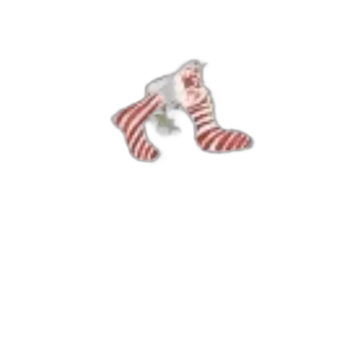 shoes, jewelry, animal, creature transparent PNG cut-out