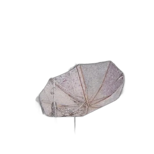 umbrella, hat, jacket, crown transparent PNG cut-out