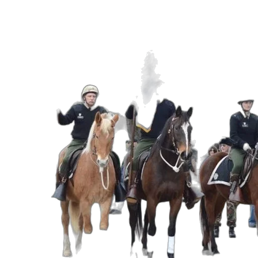 staff, hat, group, men transparent PNG cut-out