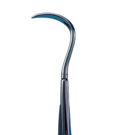 staff, sword, weapon, umbrella transparent PNG cut-out
