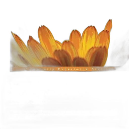 flower, crown, jewelry, food transparent PNG cut-out