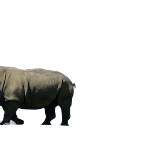 animal, creature, car, weapon transparent PNG cut-out