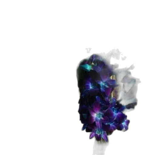 flower, crown, hair, staff transparent PNG cut-out