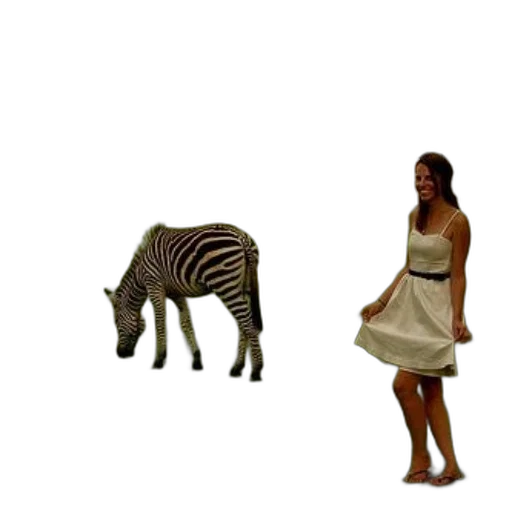 animal, dress, creature, 3d render transparent PNG cut-out