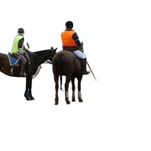 staff, hat, animal, jacket transparent PNG cut-out