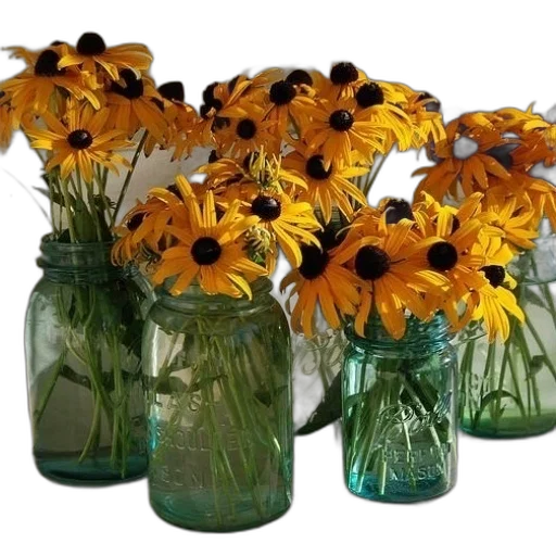 bottle, flower, crown, photorealistic transparent PNG cut-out