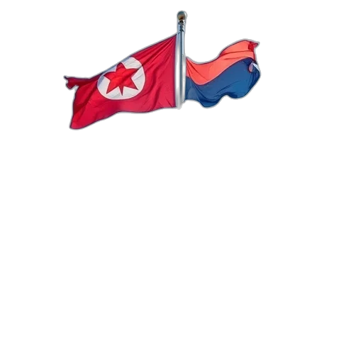 staff, umbrella, weapon, flags transparent PNG cut-out