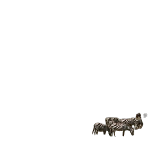 animal, furniture, creature, robot transparent PNG cut-out