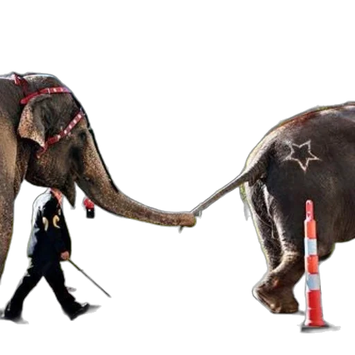 staff, animal, concept art, two transparent PNG cut-out