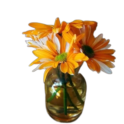 flower, crown, jewelry, bottle transparent PNG cut-out