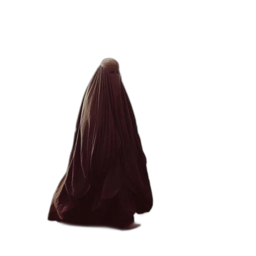 dress, jacket, hat, staff transparent PNG cut-out